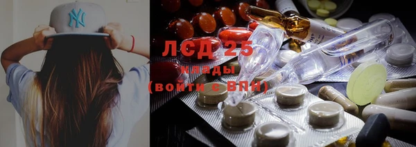 прущие крисы Новозыбков