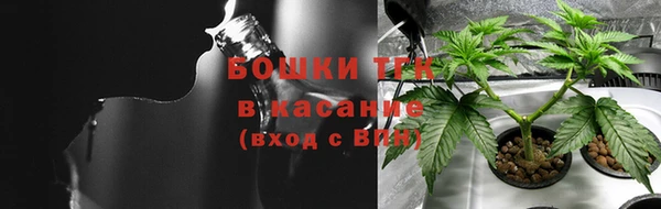 прущие крисы Новозыбков