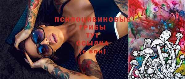 тгк Новодвинск