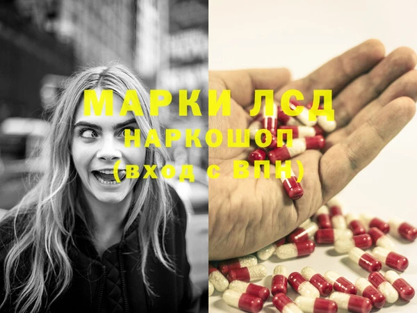 тгк Новодвинск