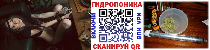 Купить закладки  Пушкино  Каннабис сатива 